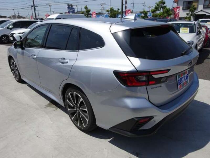 LEVORG