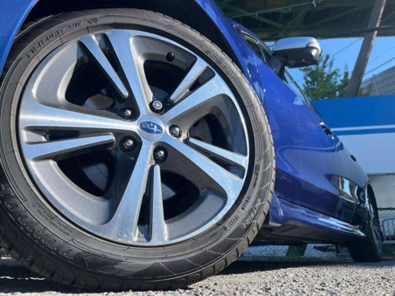 LEVORG