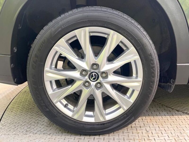 CX-8