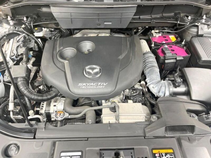 CX-8