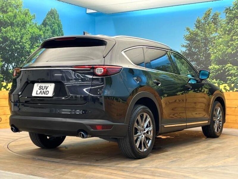 CX-8