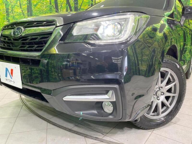 FORESTER