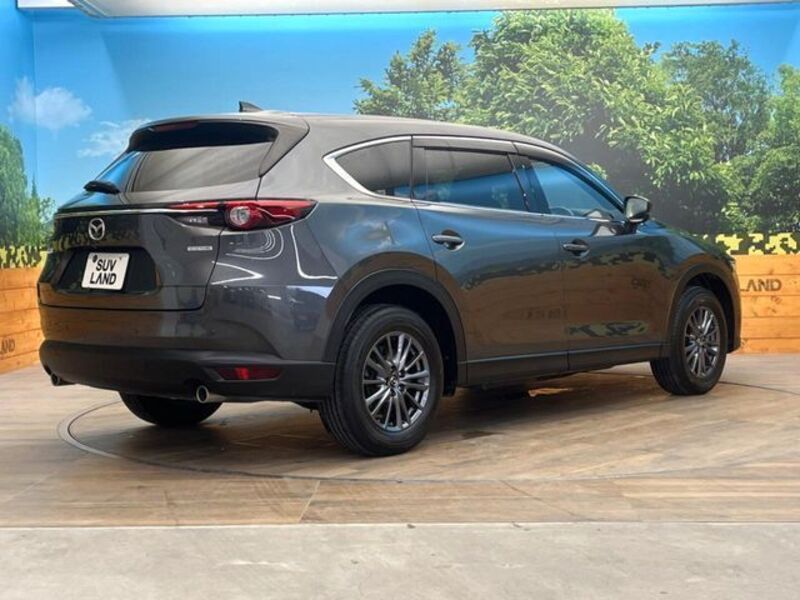 CX-8