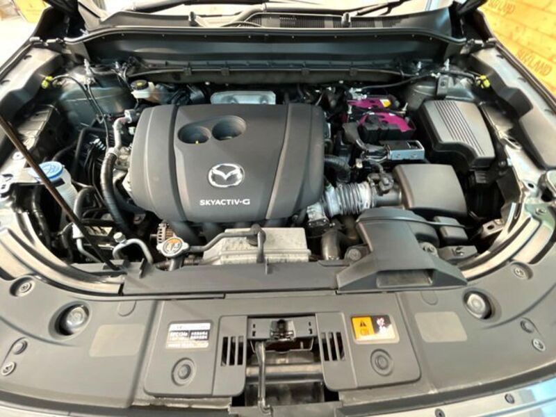 CX-8