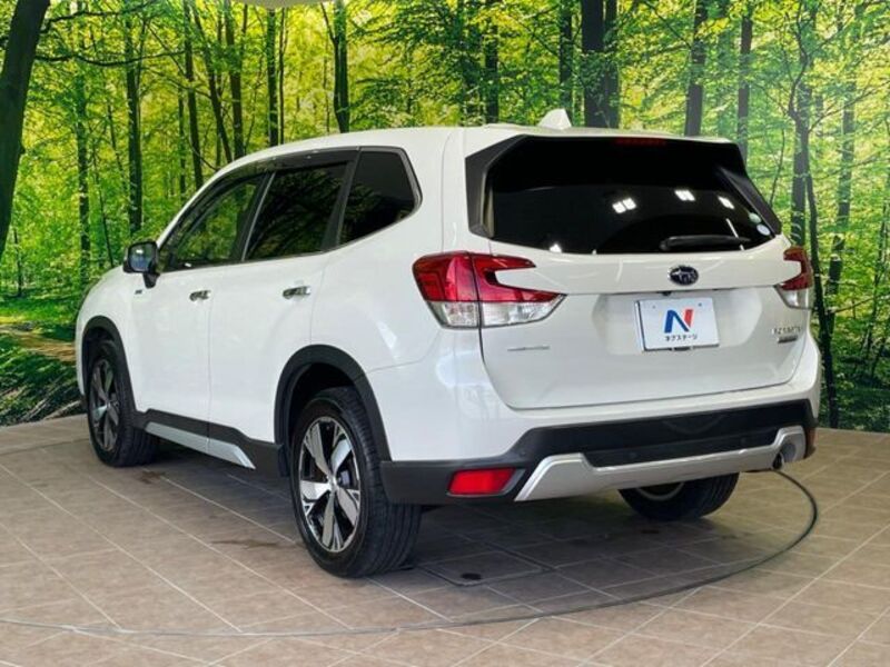 FORESTER