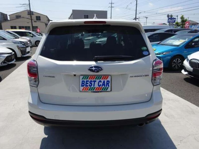 FORESTER