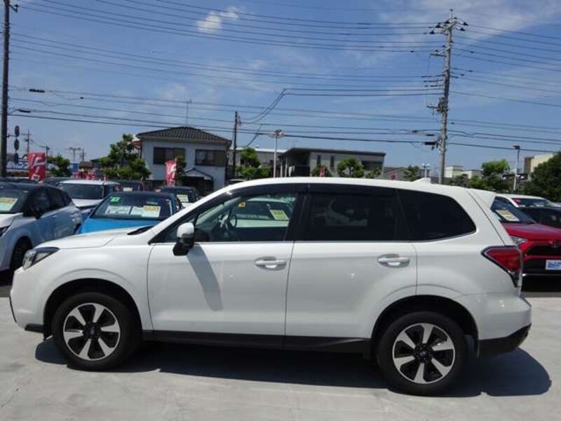 FORESTER