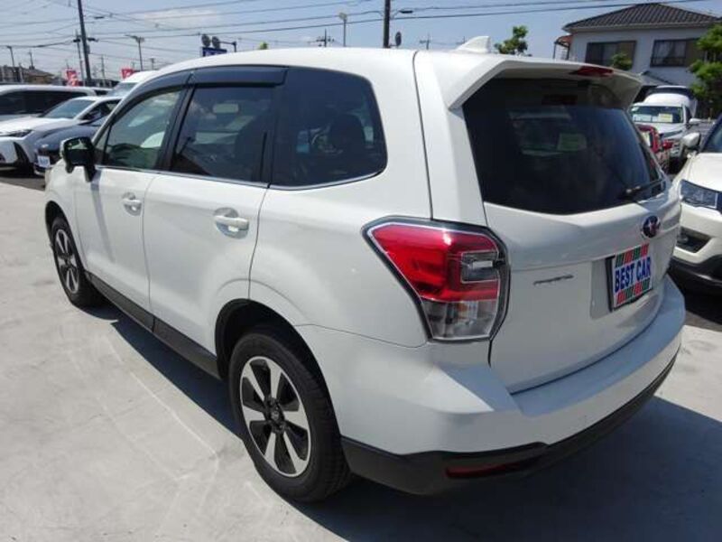 FORESTER