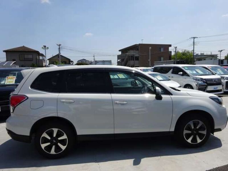 FORESTER