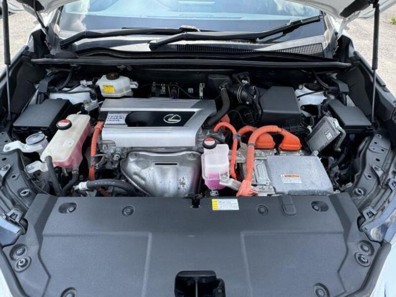 NX