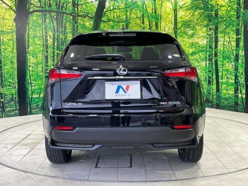 NX
