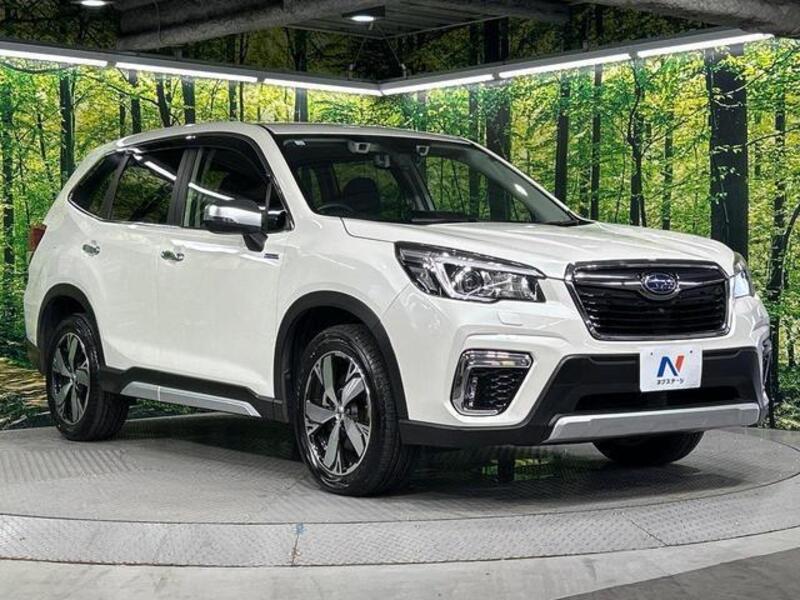FORESTER