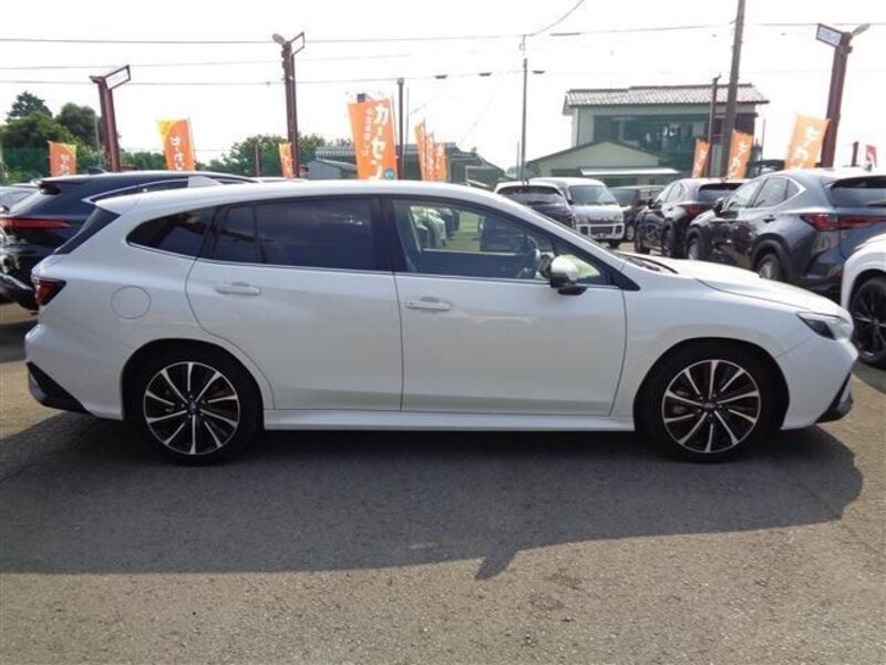 LEVORG