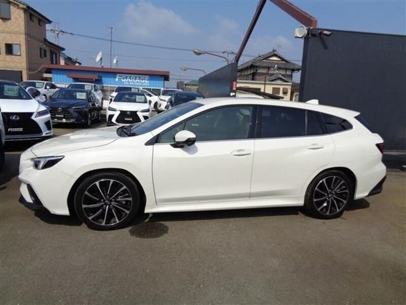 LEVORG