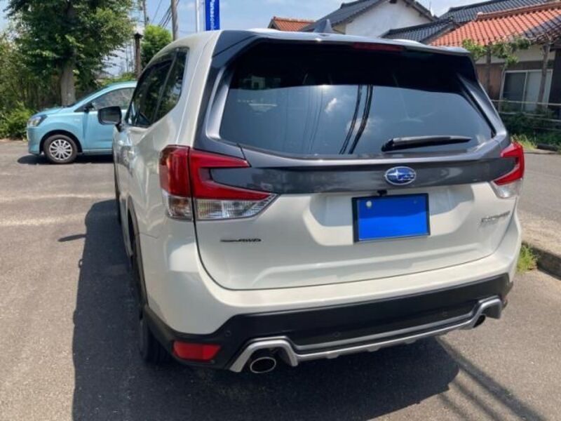 FORESTER