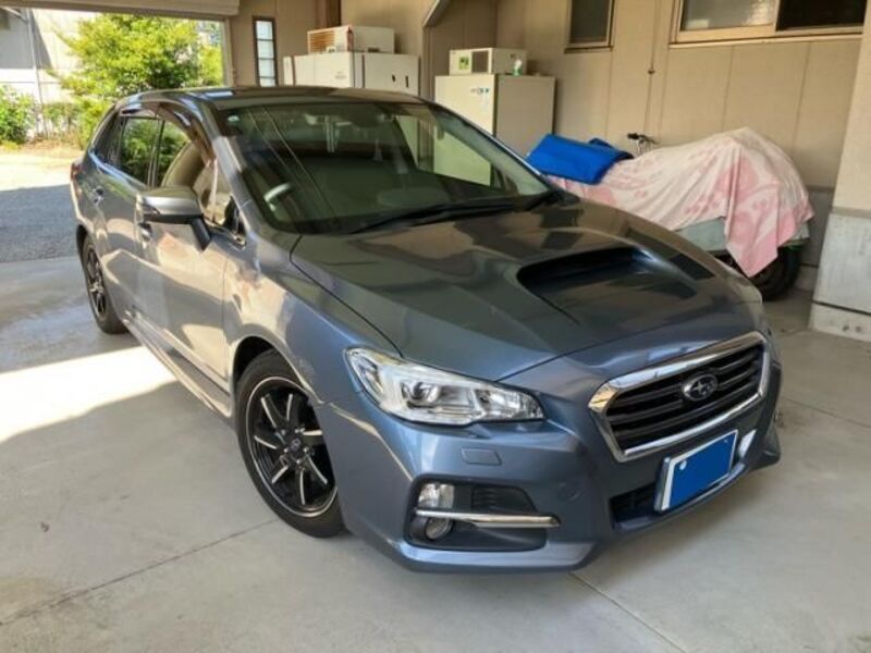 LEVORG-0