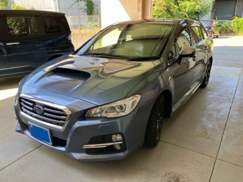LEVORG