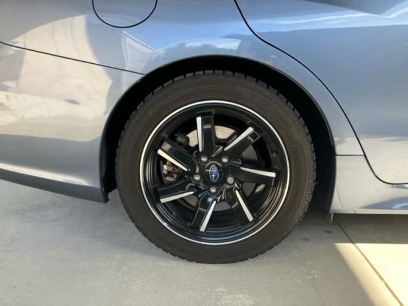 LEVORG
