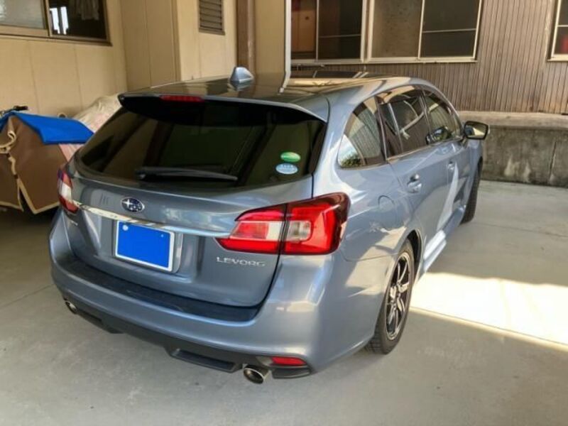 LEVORG