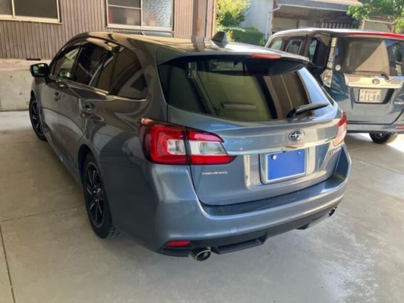 LEVORG
