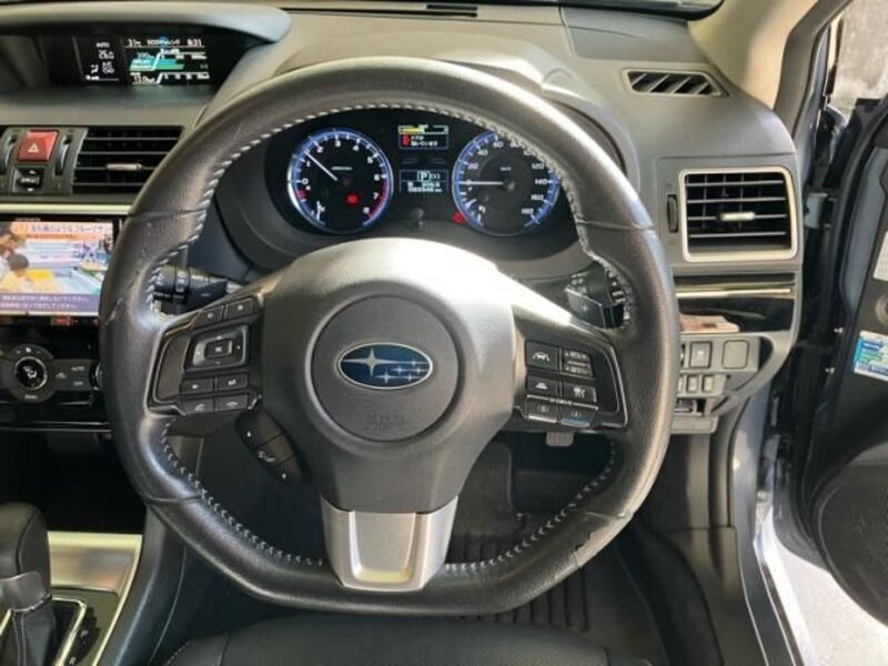 LEVORG