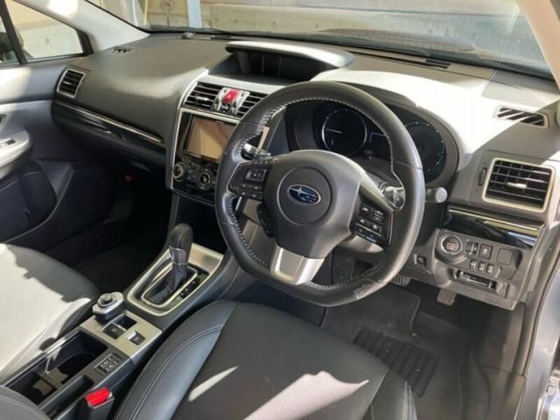 LEVORG