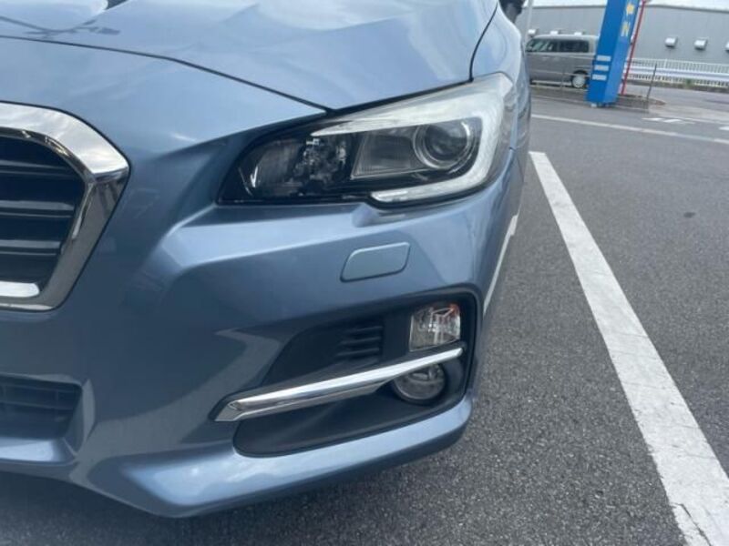 LEVORG