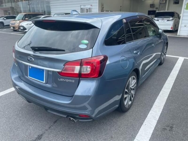 LEVORG