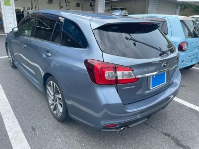 LEVORG