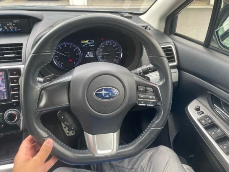 LEVORG