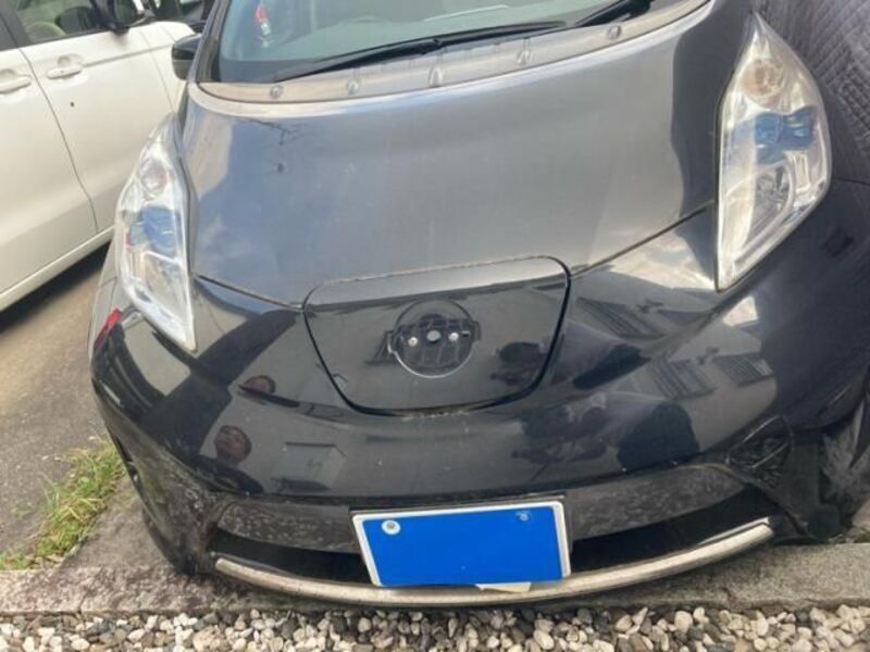 LEAF-0