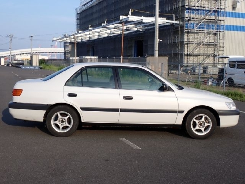 CORONA PREMIO