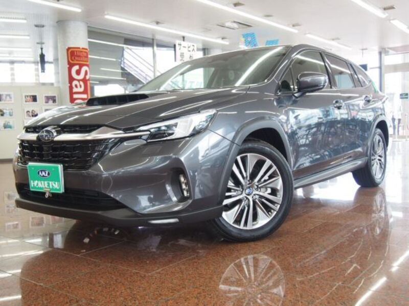 LEVORG-0