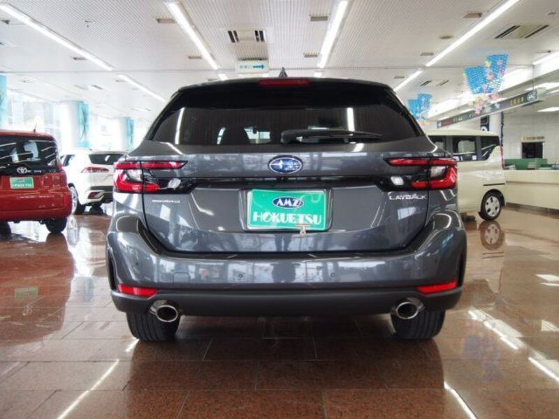 LEVORG