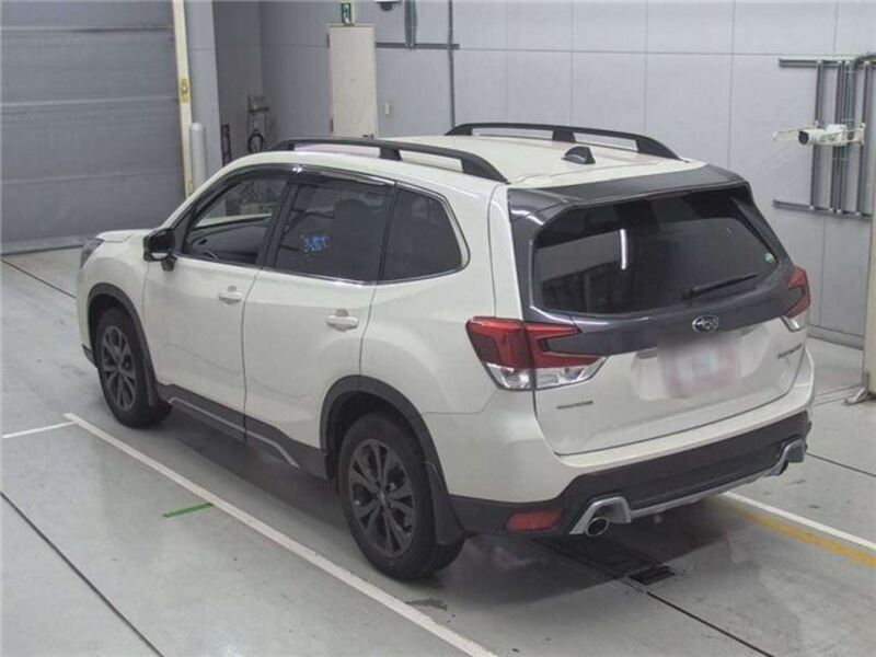 FORESTER