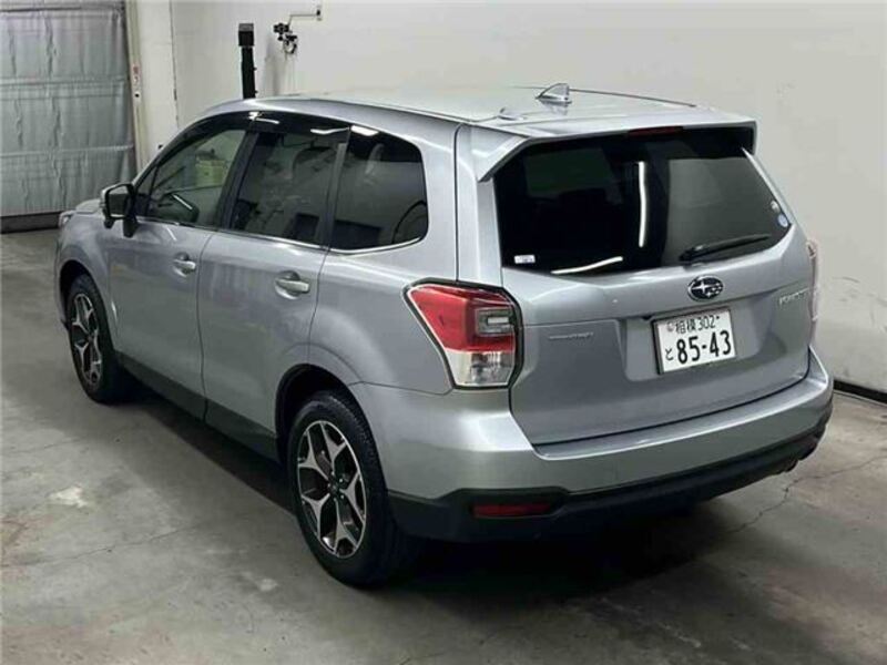 FORESTER