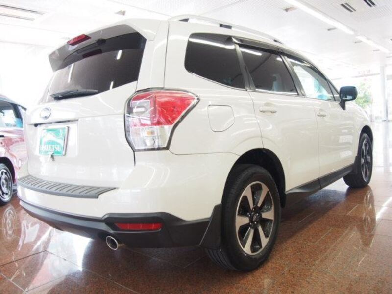 FORESTER