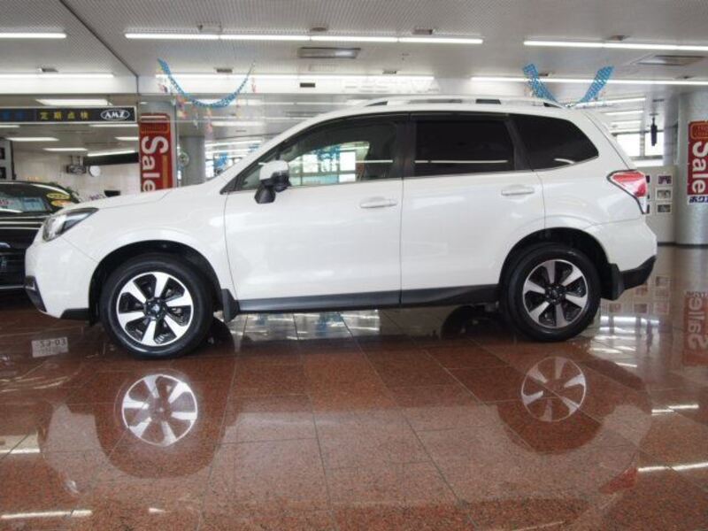 FORESTER