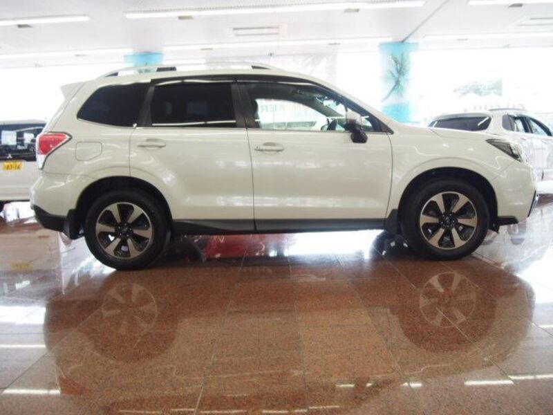 FORESTER