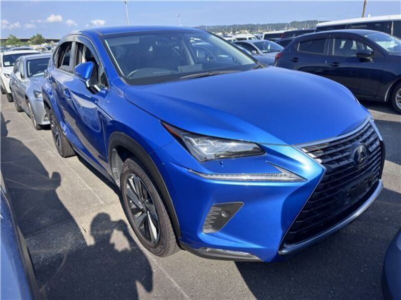 NX