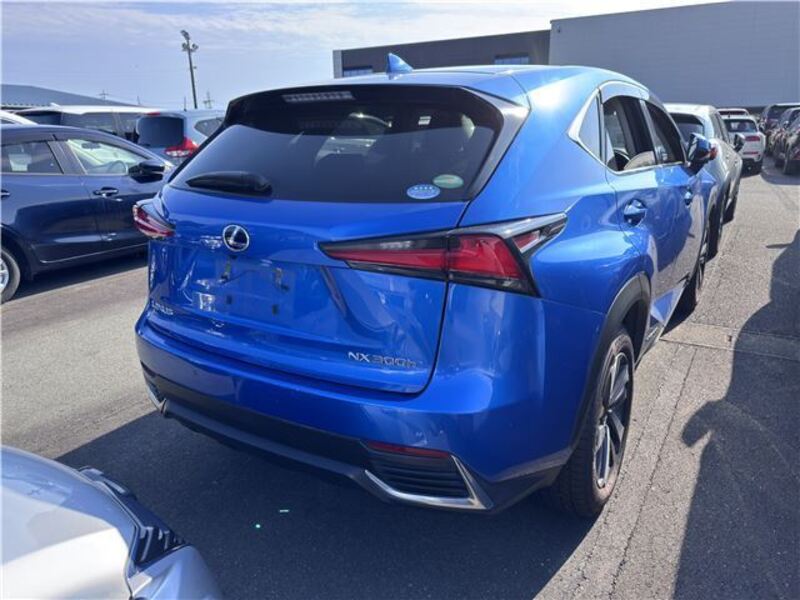 NX
