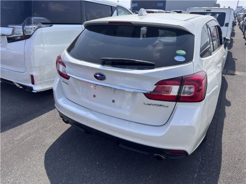 LEVORG