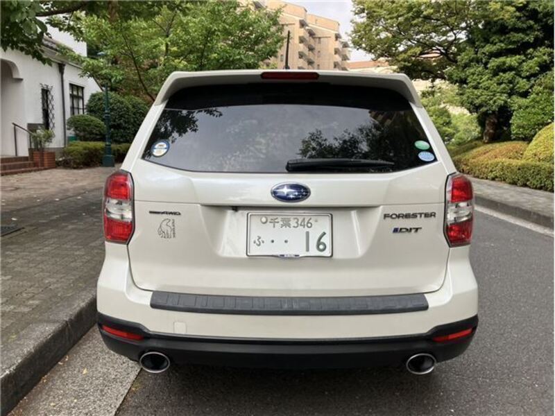 FORESTER