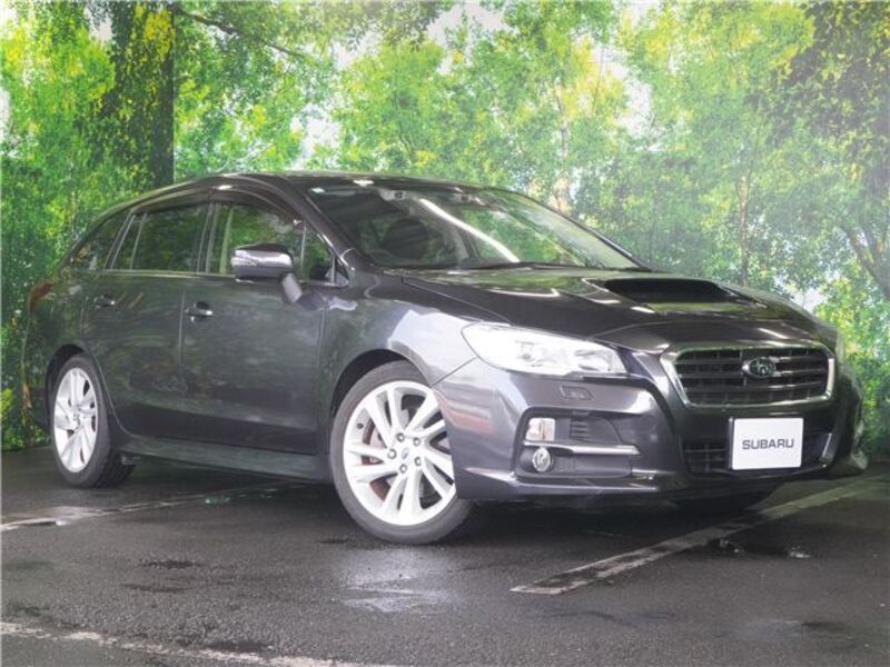 LEVORG-0