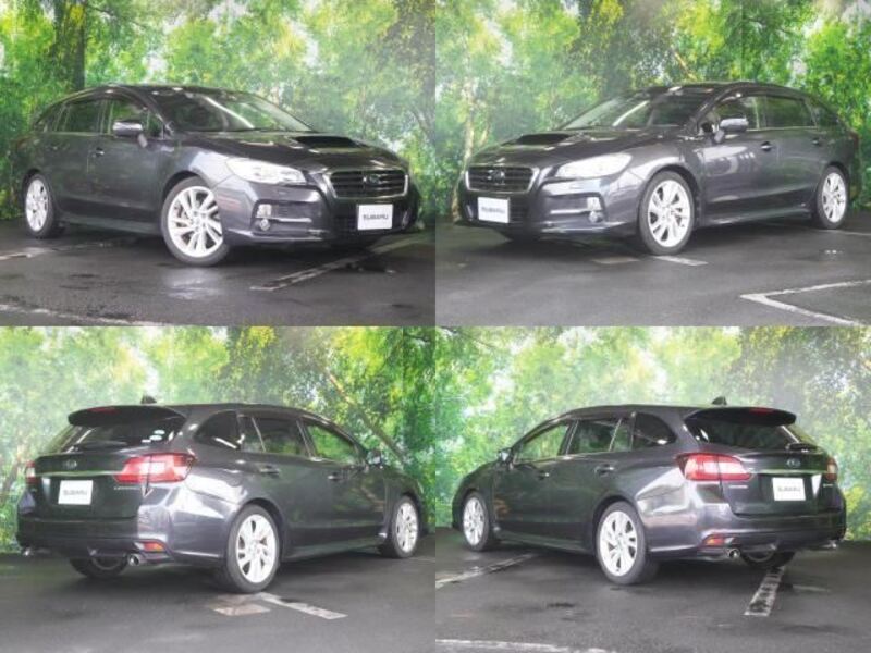 LEVORG