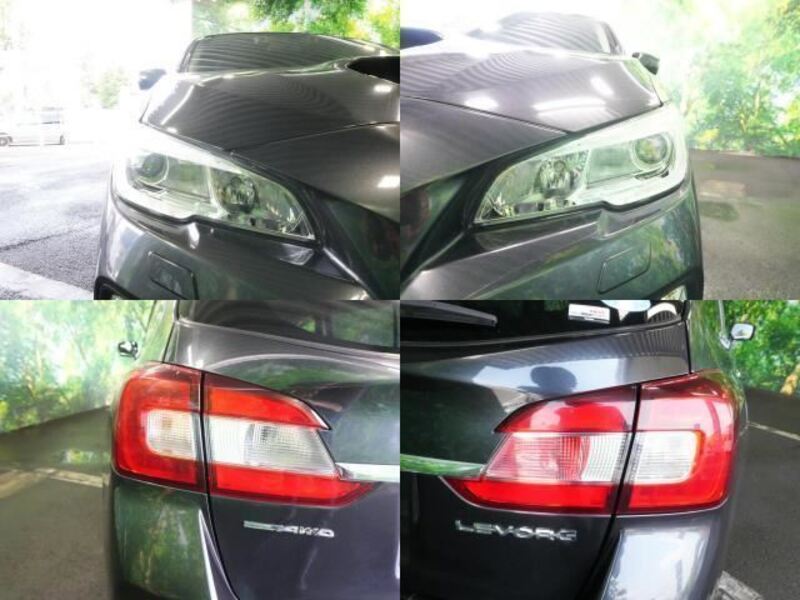 LEVORG