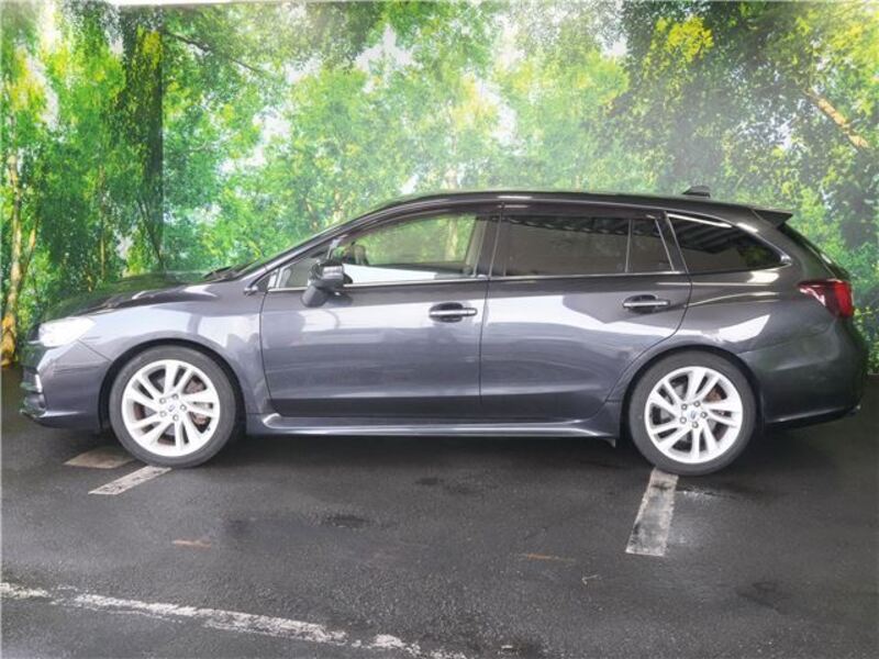 LEVORG