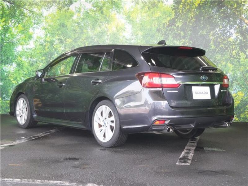 LEVORG