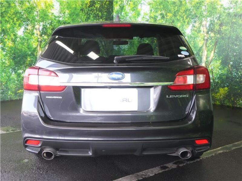LEVORG
