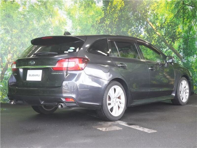 LEVORG